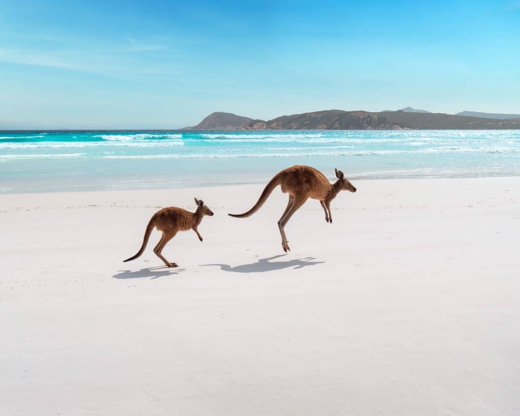Perth to Esperance
